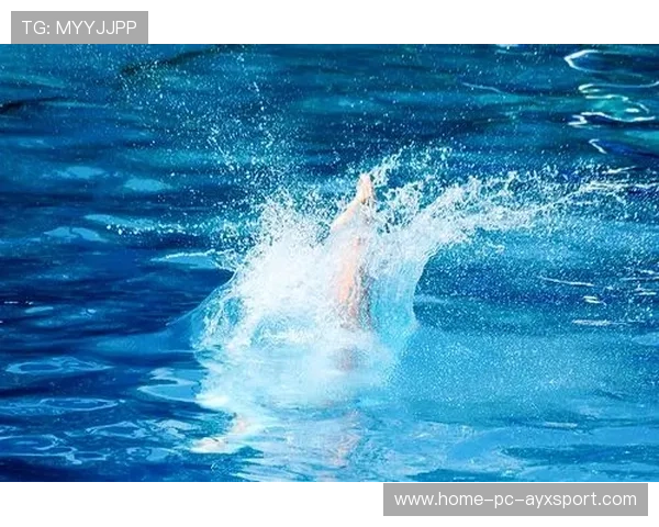 少年跳水组动作难度惊人，被誉为未来之星